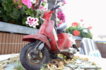 Suzuki Gemma 50 special im Maßstab 1:12