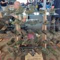 pmc-IMG_20220904_110952
